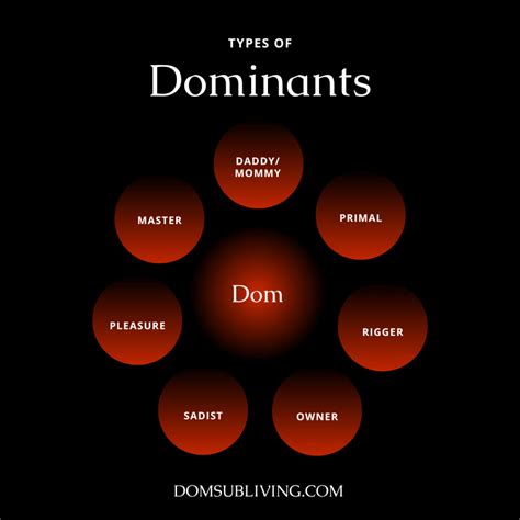 bdsm sub dom|BDSM Roles: 33 Dominant and Submissive Roles